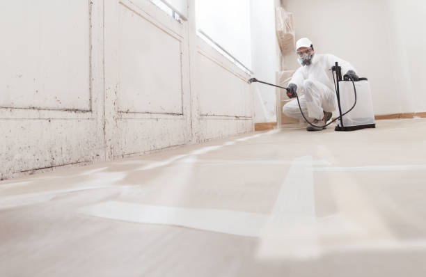 24/7 Emergency Commercial Mold Remediation experts in Denton, TX
