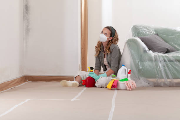 Trusted Commercial Mold Remediation service in Denton, TX - Cheap Mold Removal